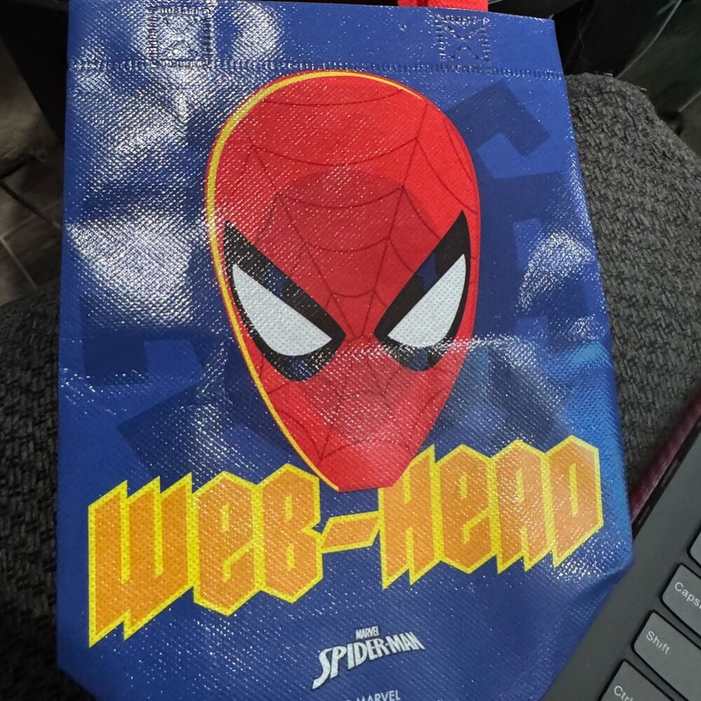 Spider Man Small Reusable Bag NWT​